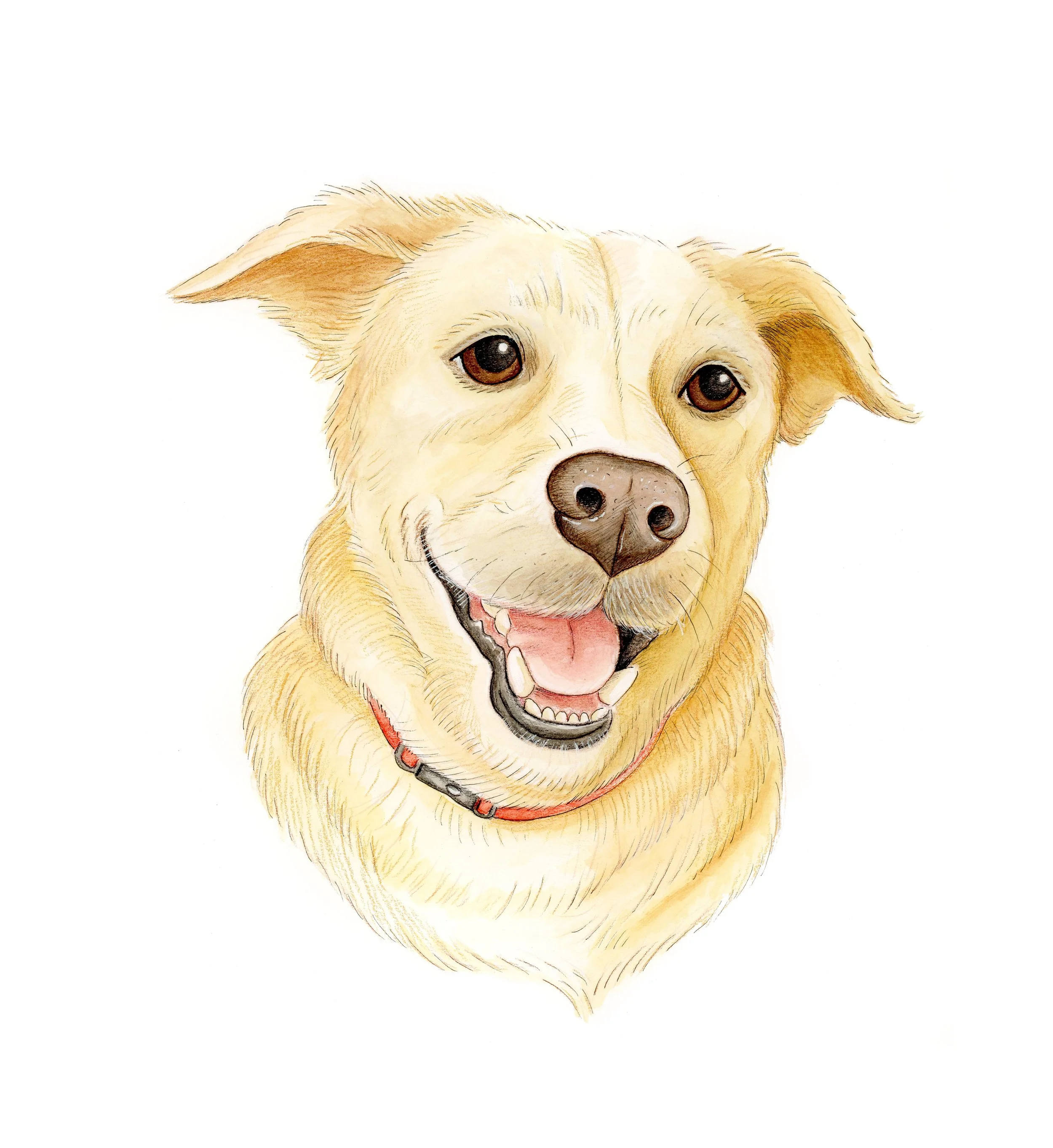 Finley_final_web.jpg