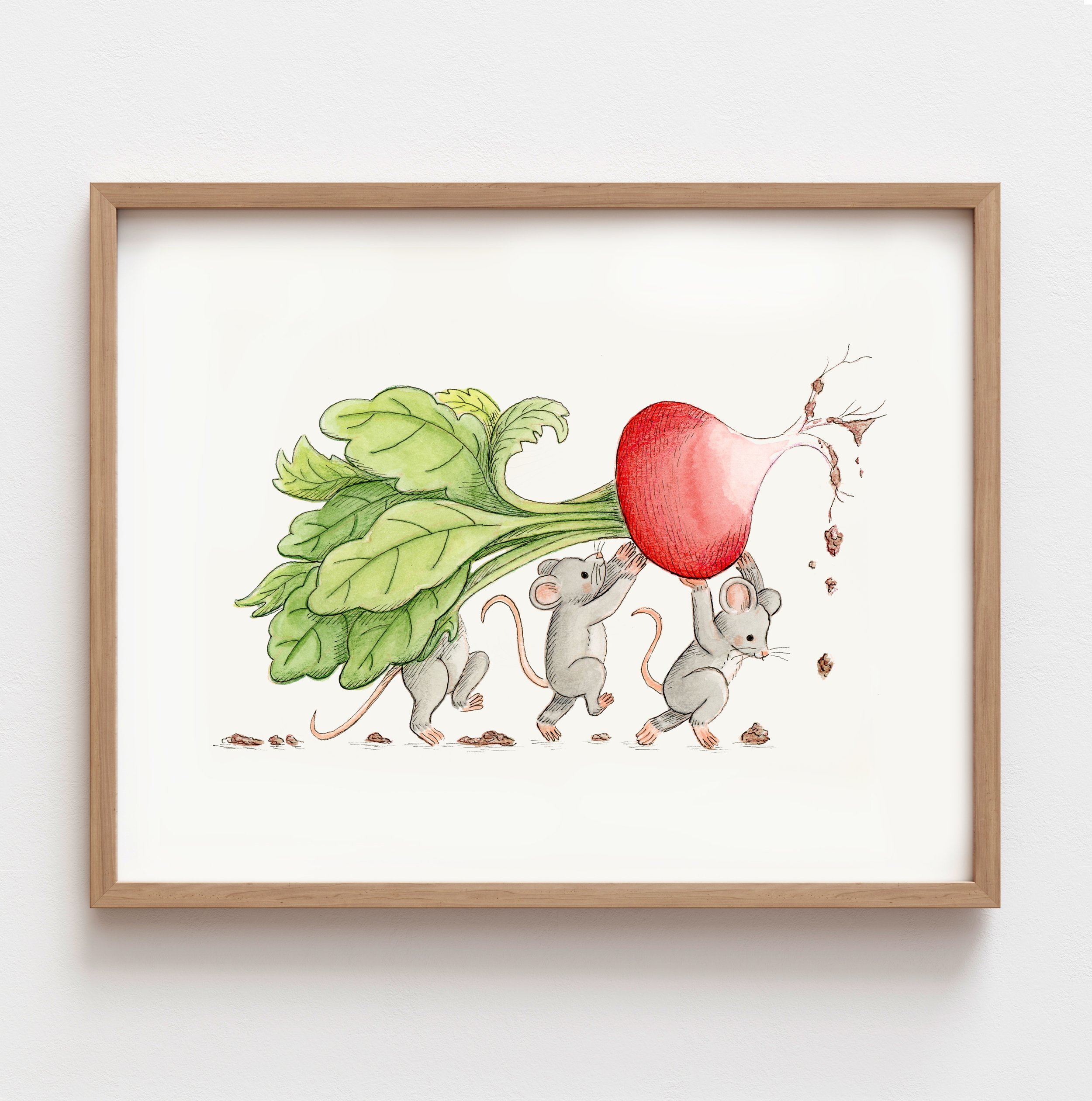 Radish.jpg