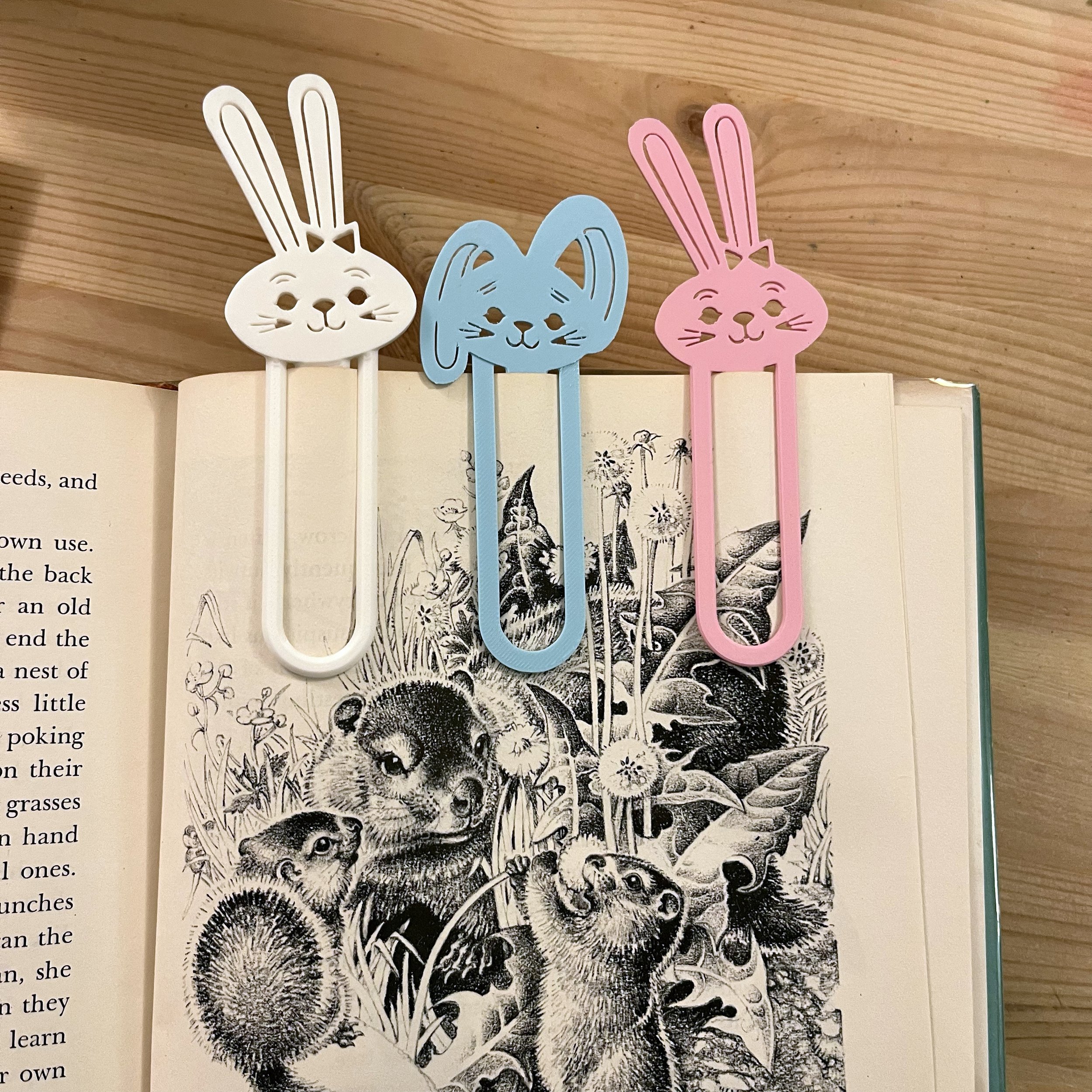 Bunnymark2.jpg
