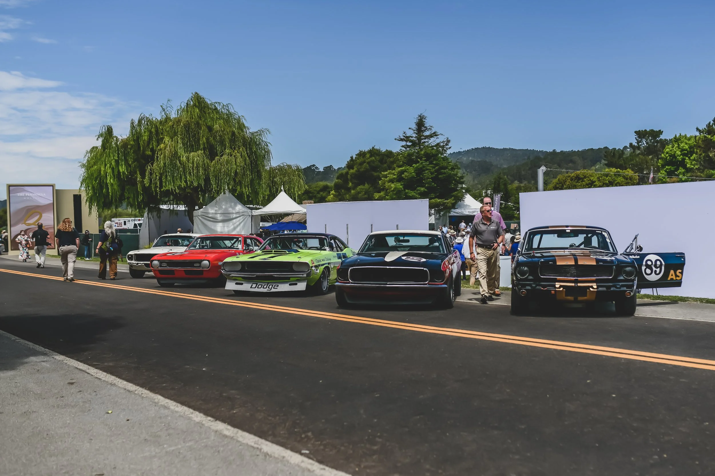 DSC_0878.jpg