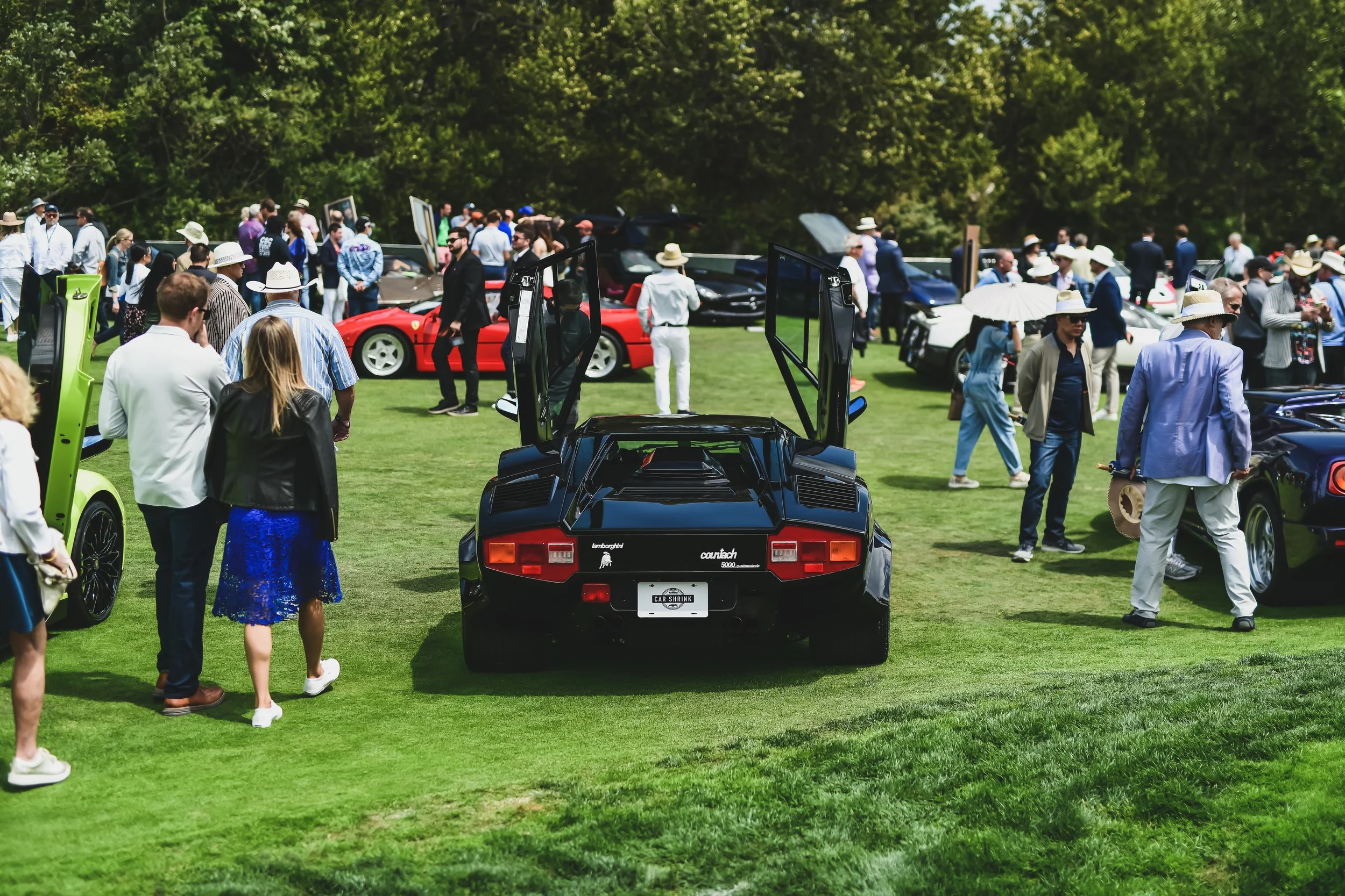 DSC_6985.jpg