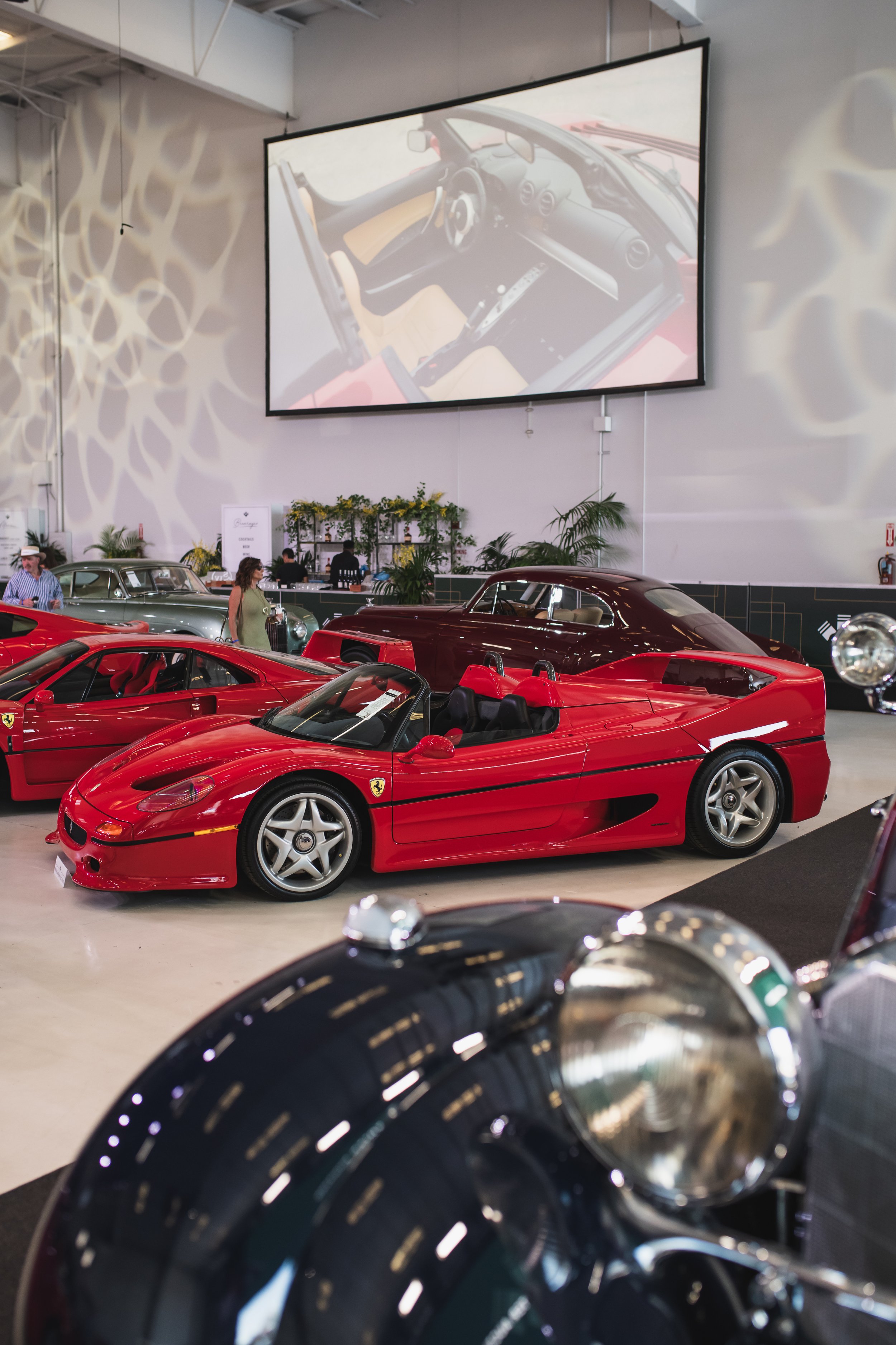 DSC_9697.jpg