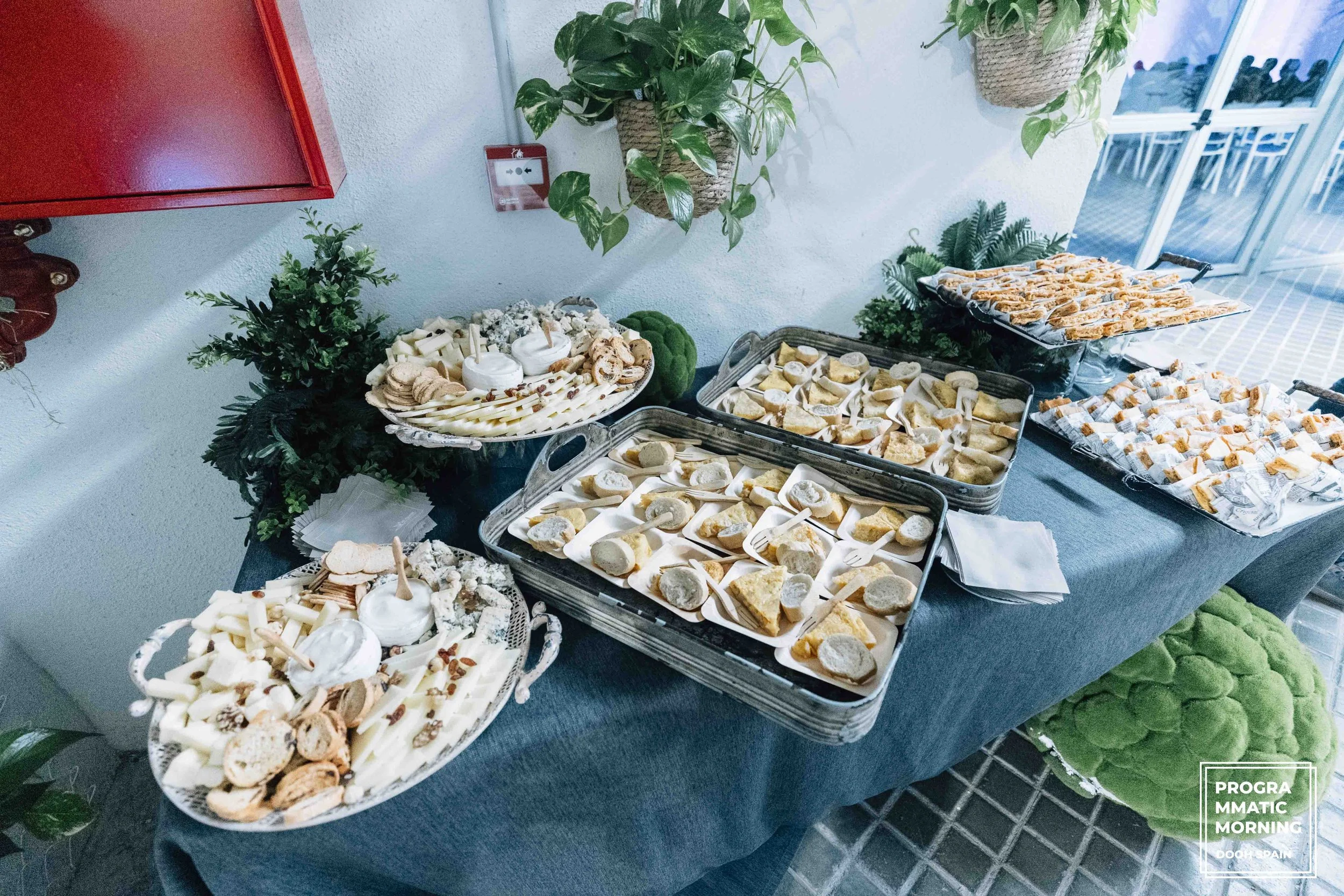 PROGRAMATIC 21-02-comprimidas4-33.jpg