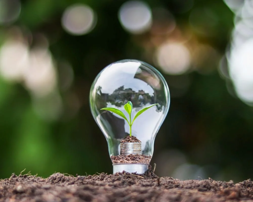 Seedtag avanza hacia la neutralidad de carbono comprometida con una industria publicitaria más sostenible