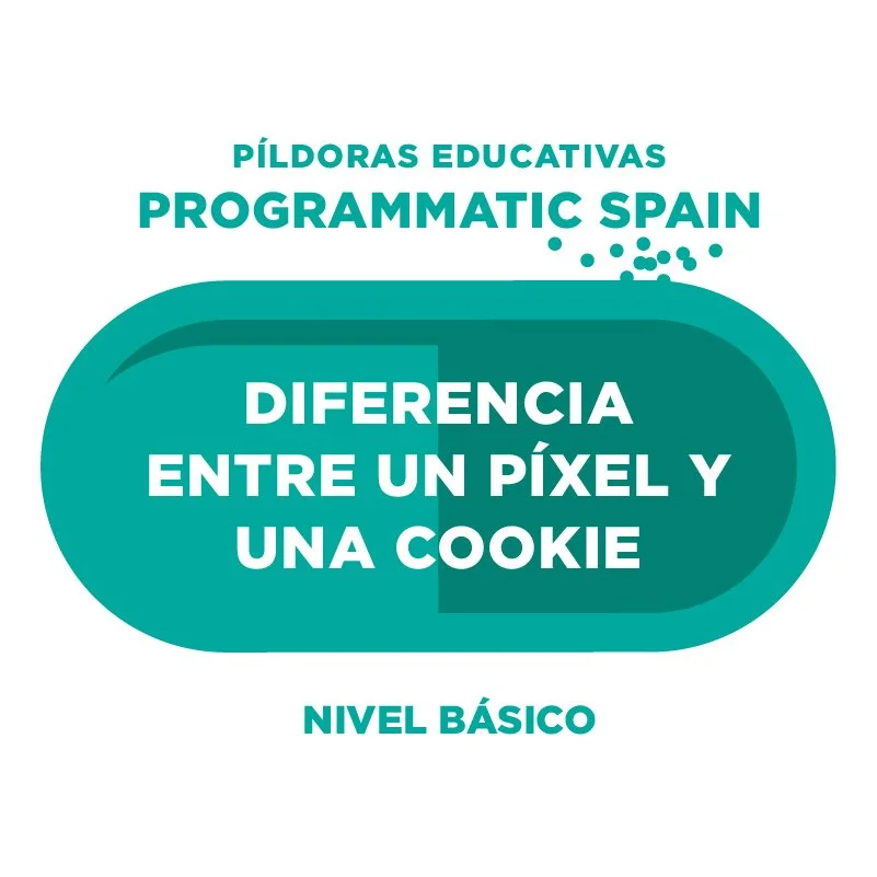 Diferencia entre un píxel y una cookie: dos elementos clave en el mundo digital