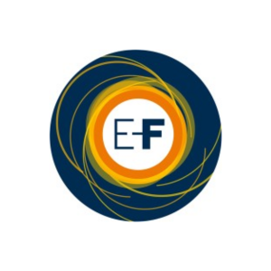 E-Frontiers, Head of Data Science, Madrid