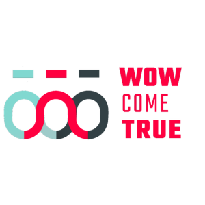 Wow Come True, especialista SEO, Málaga o Madrid