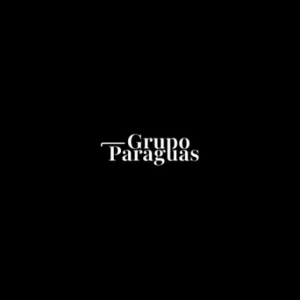 Grupo Paraguas, Social Media Executive, Madrid