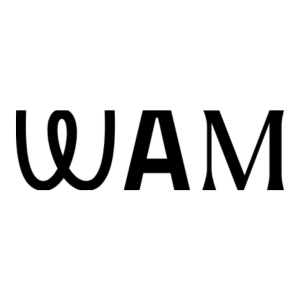 Wam Global, Paid Media Manager, Madrid