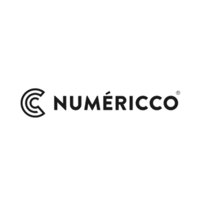 Numéricco, Performance &amp; Paid Media Specialist, Zaragoza