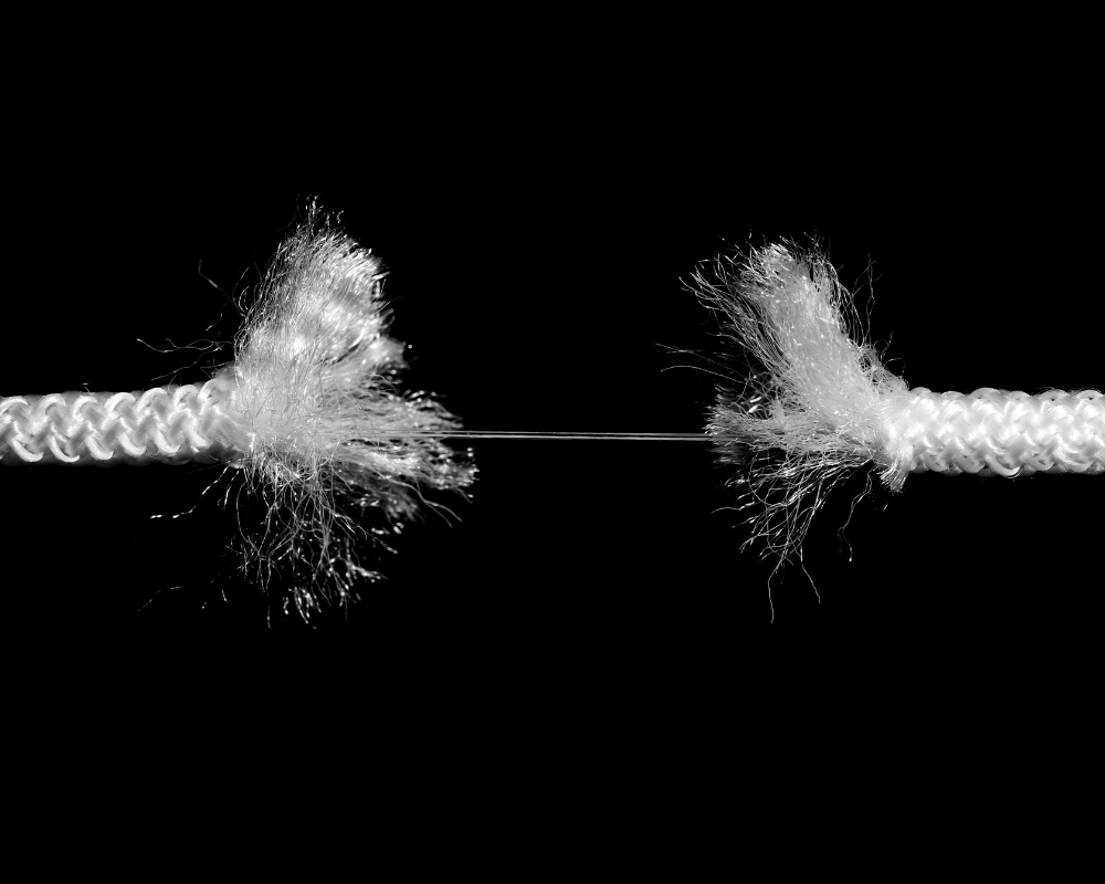 La ruptura silenciosa de Prebid e IAB Tech Lab por el Transaction ID