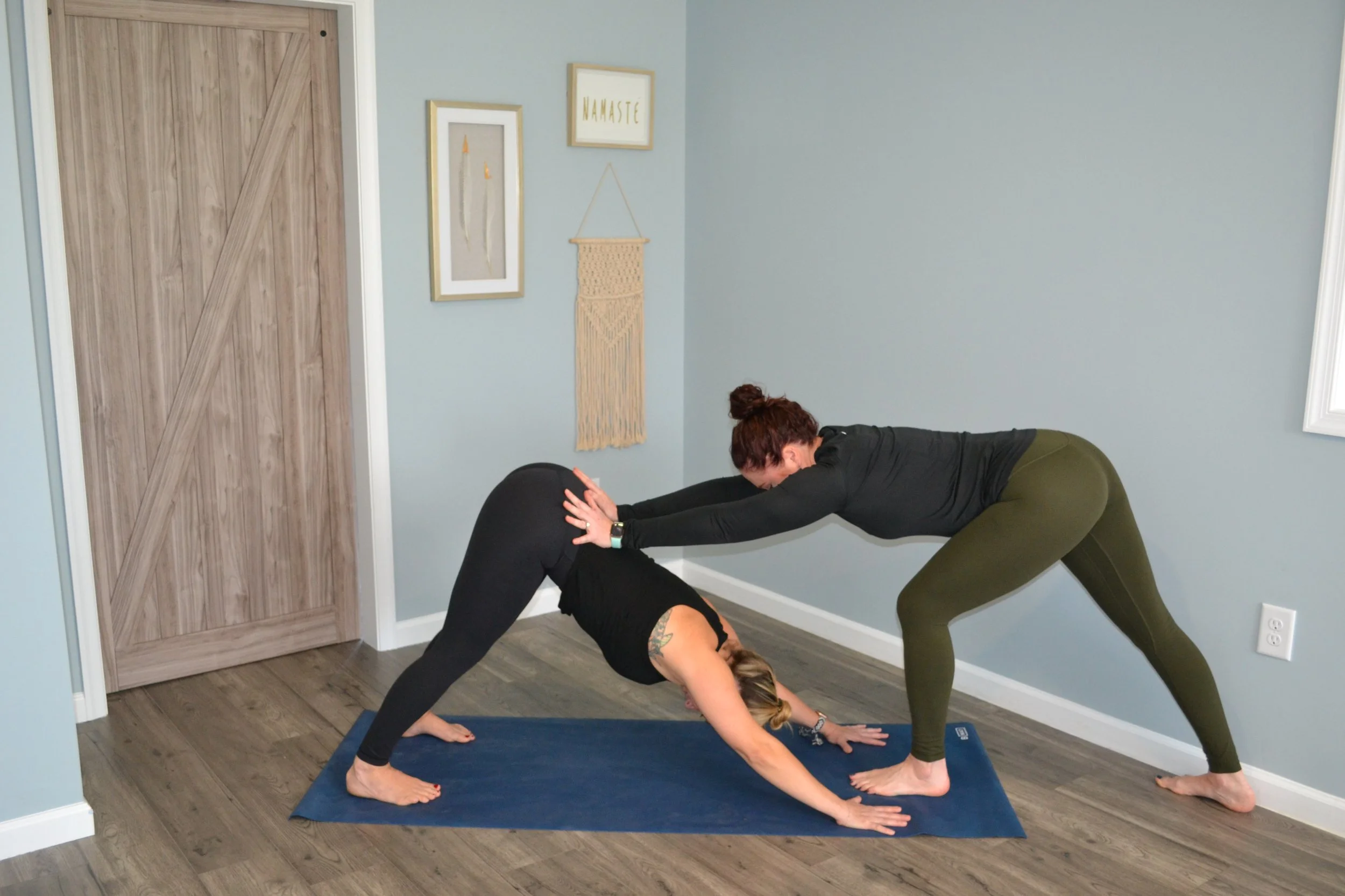 Art of Assisting – Yoga Alliance CEU Workshop (5.0 Hours)