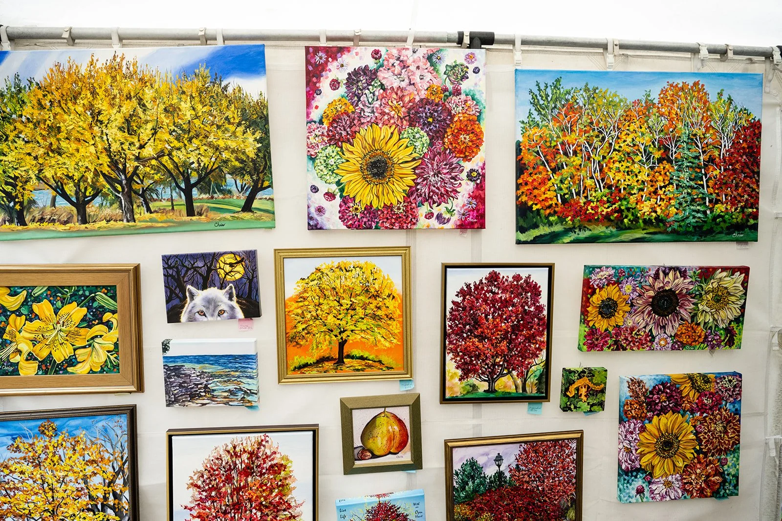 SLP Art Fair 2025-19.jpg