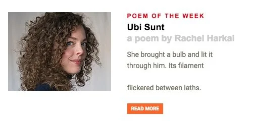 Poem in Narrative