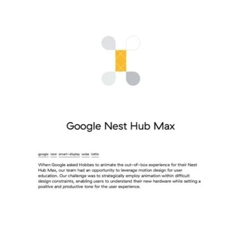 Google Nest Hub Max