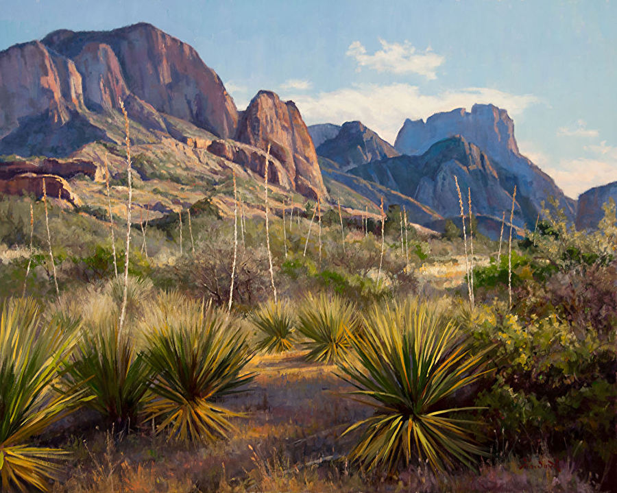 Mark Haworth1. Green Gulch Sotols.jpg