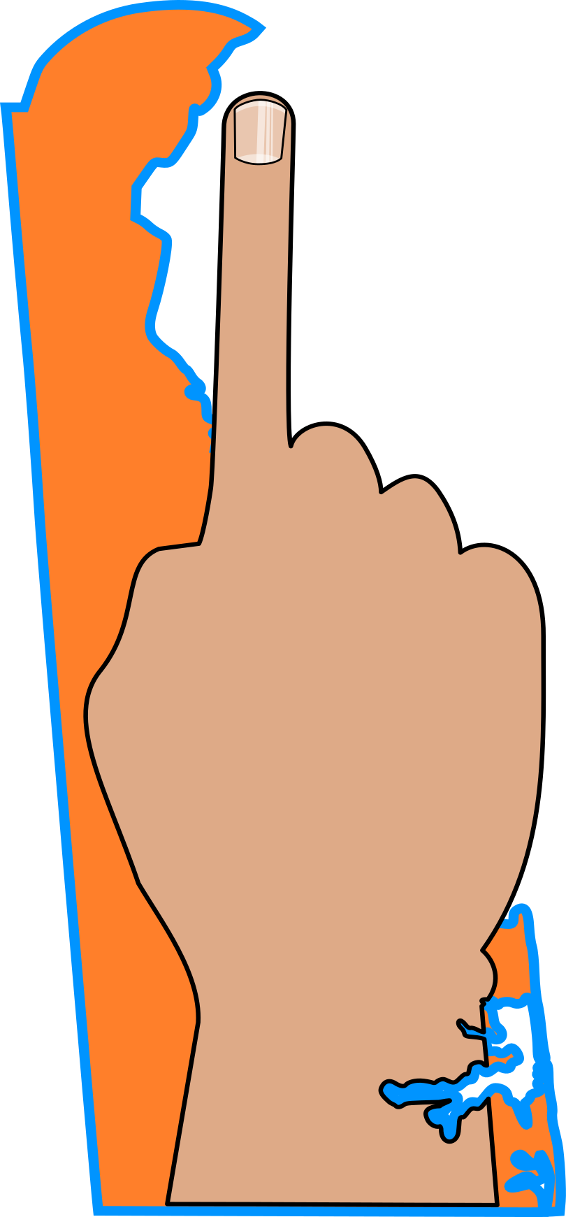 State Bird - Delaware Unisex T-Shirt