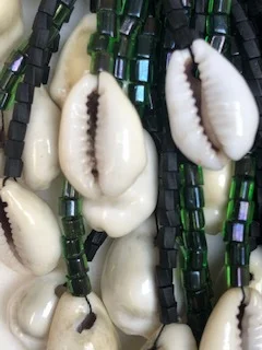 cowry close.jpg