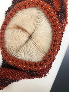 shell close up.jpg