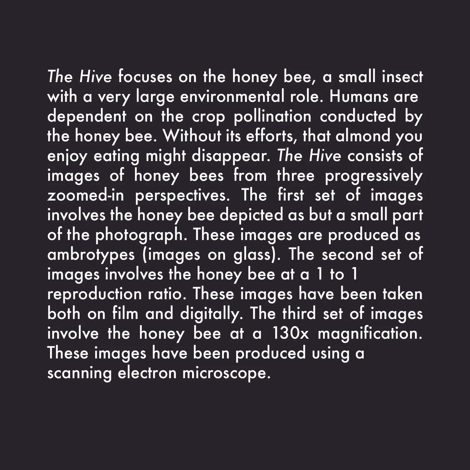 Hive Description.jpg