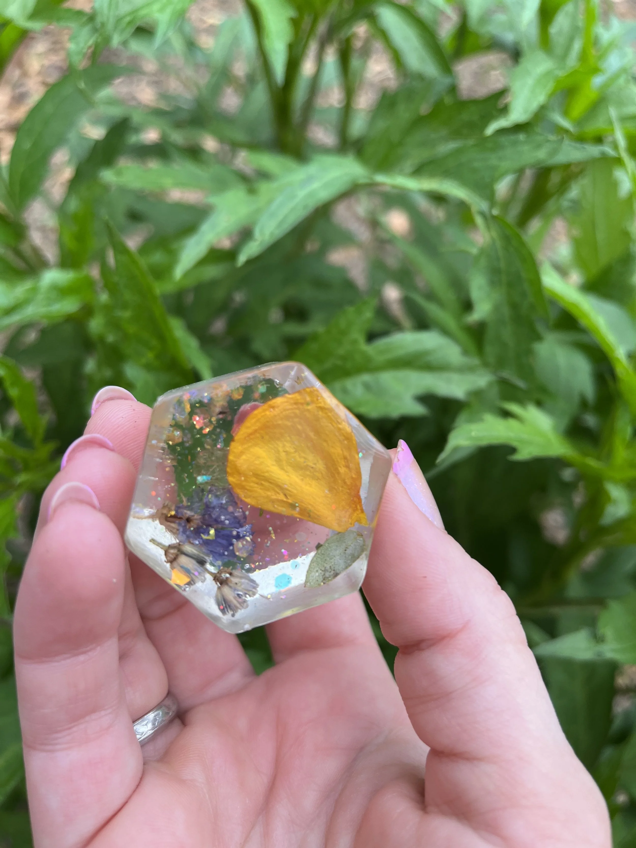 Pollinator Project
