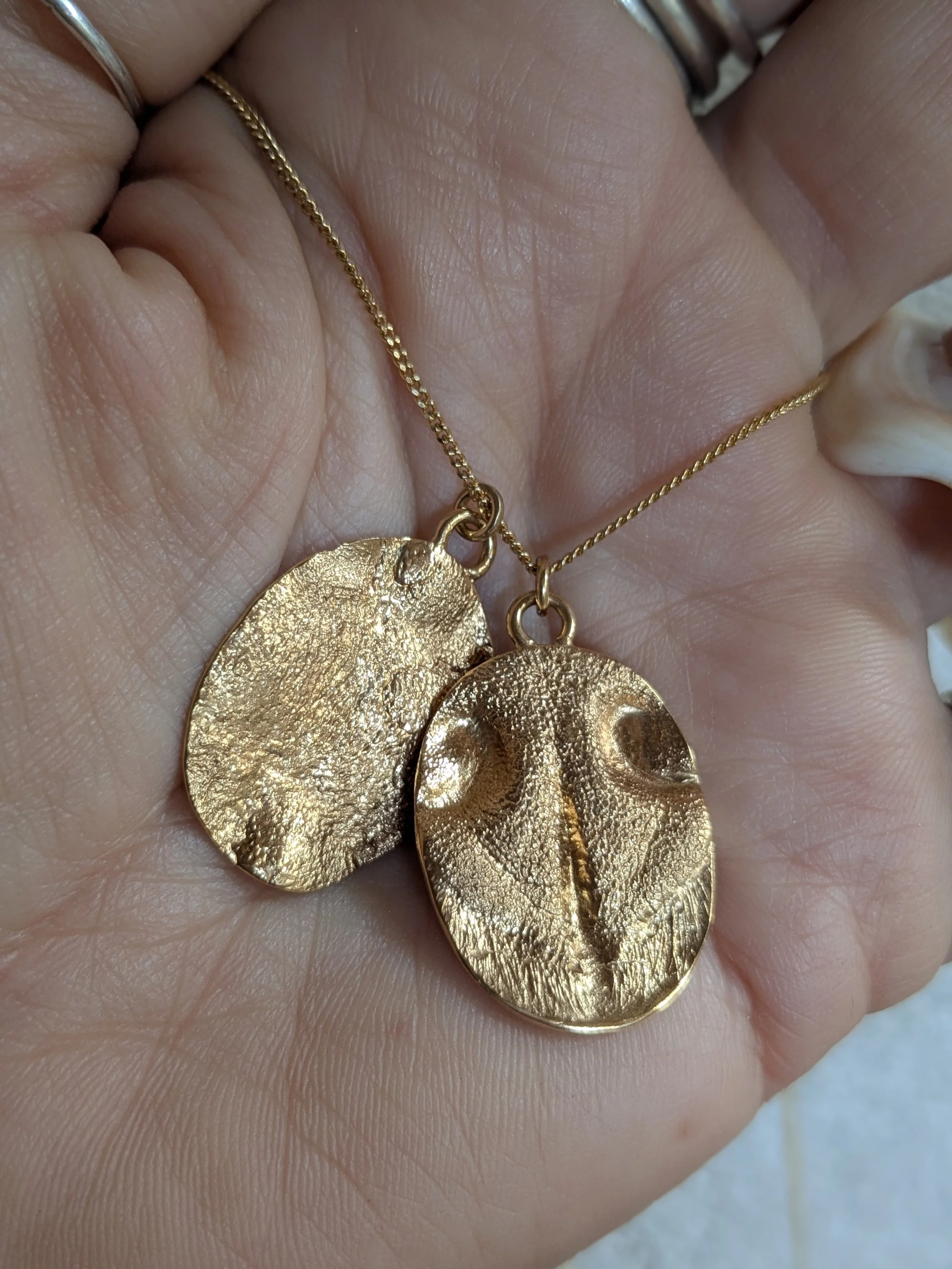 La truffe de votre animal.