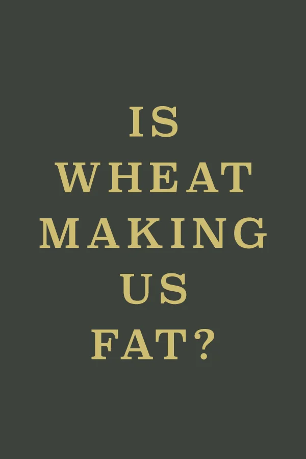 Is Wheat Making Us Fat? 