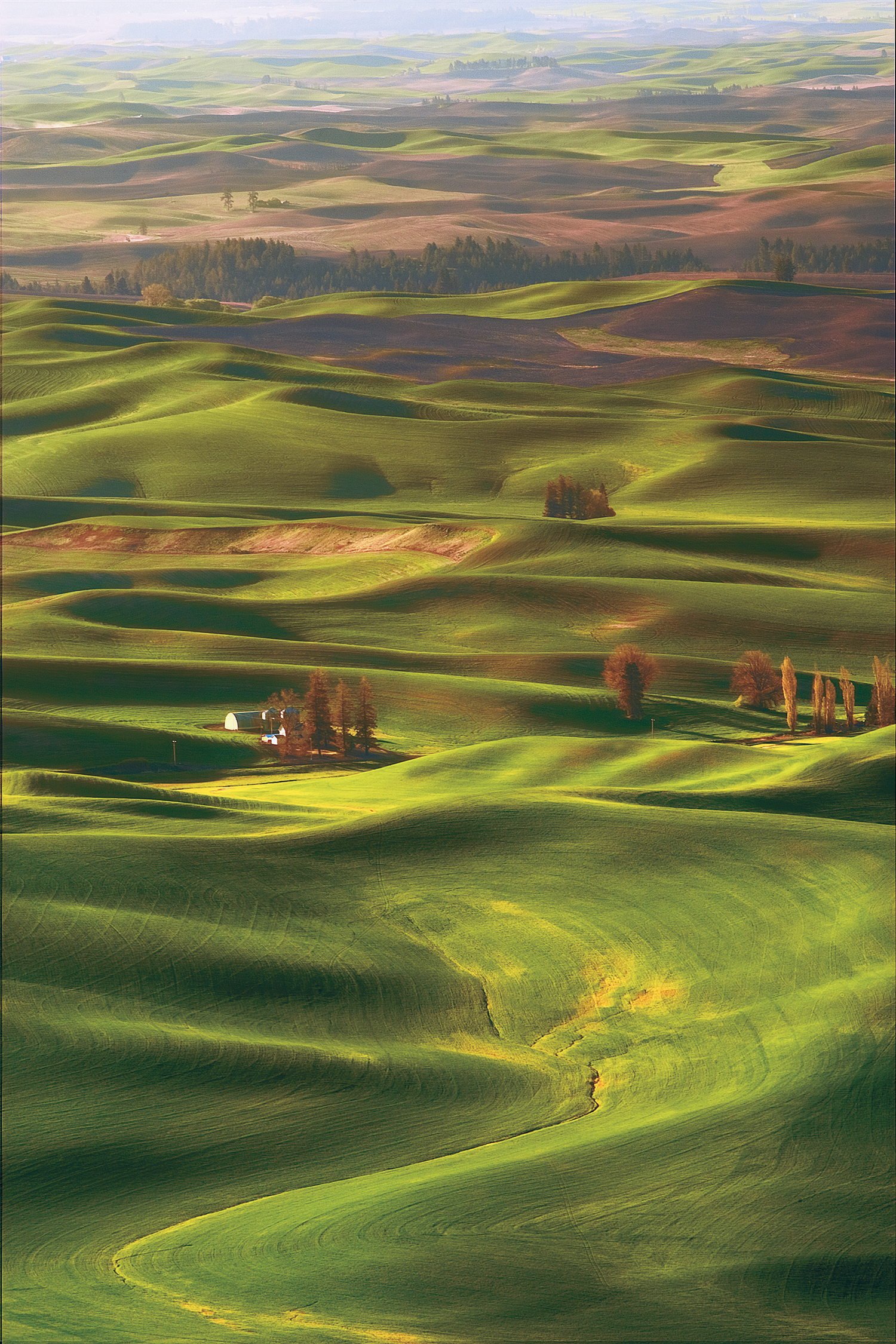 compressed20120510_20120510_Palouse_1DM3_0035_CMYK.jpg