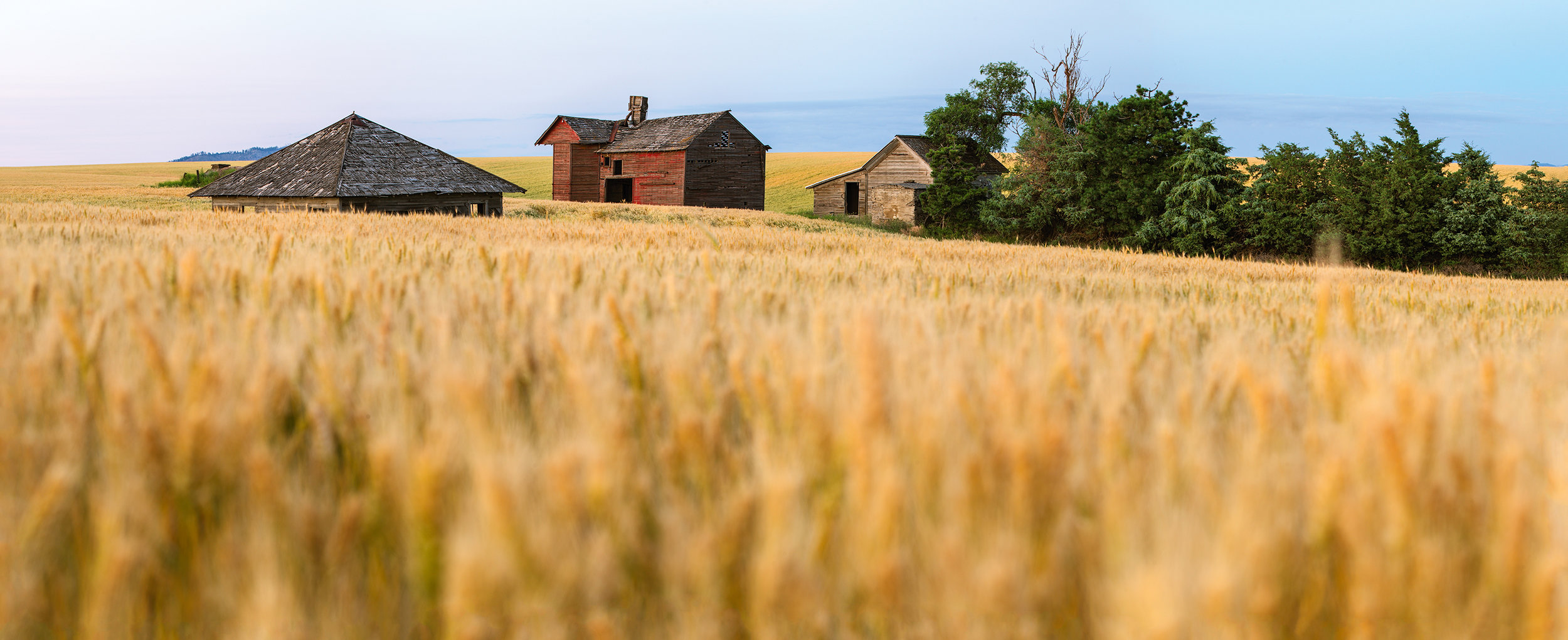 compressedHomestead_Panorama_W.jpg