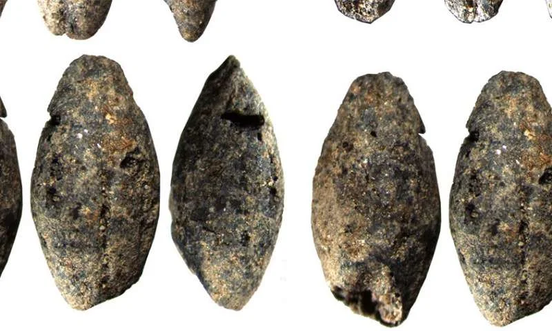 	 A 5,000-year-old barley grain discovered in Finland changes understanding of livelihoods