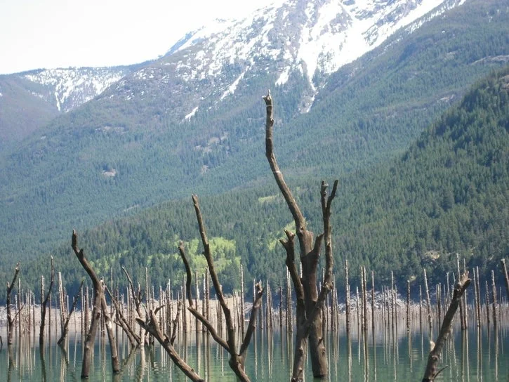 The Latest On Western Washington's Serious Drought