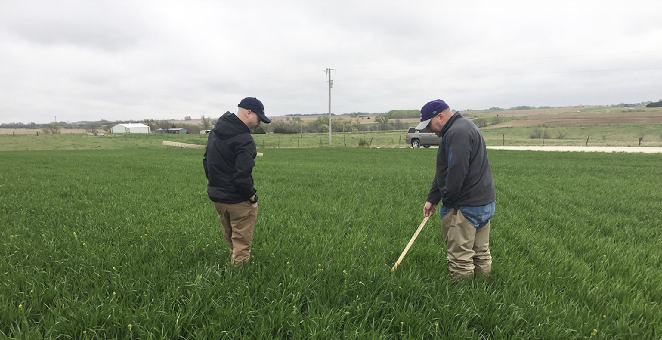 Plans Being Made for Virtual Hard Red Winter Wheat Tour