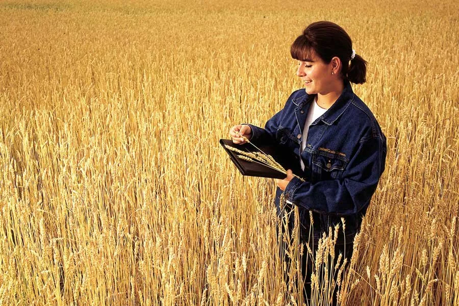 Women in Agriculture 'coffee chats' start May 12