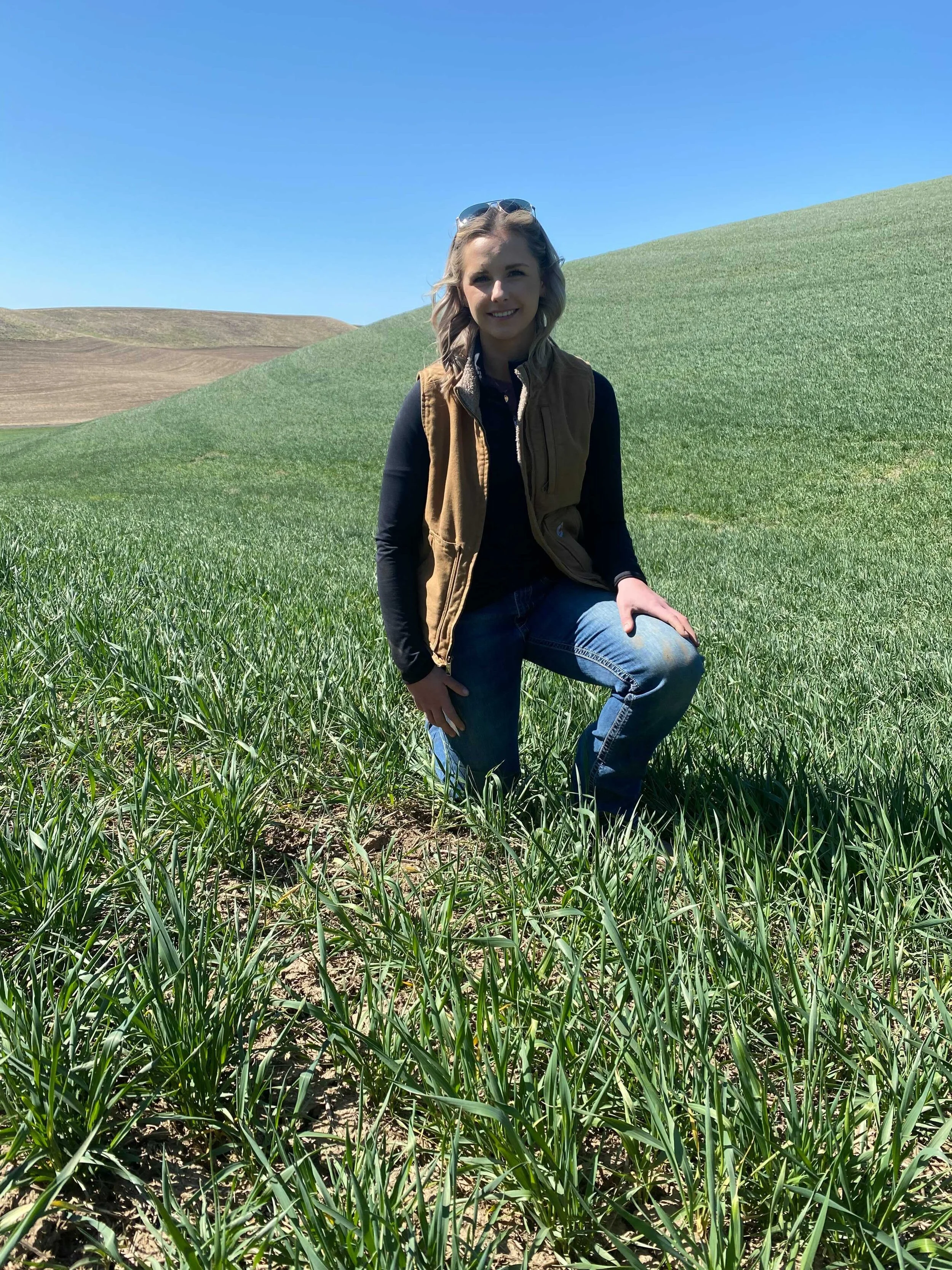 What does a crop advisor do?