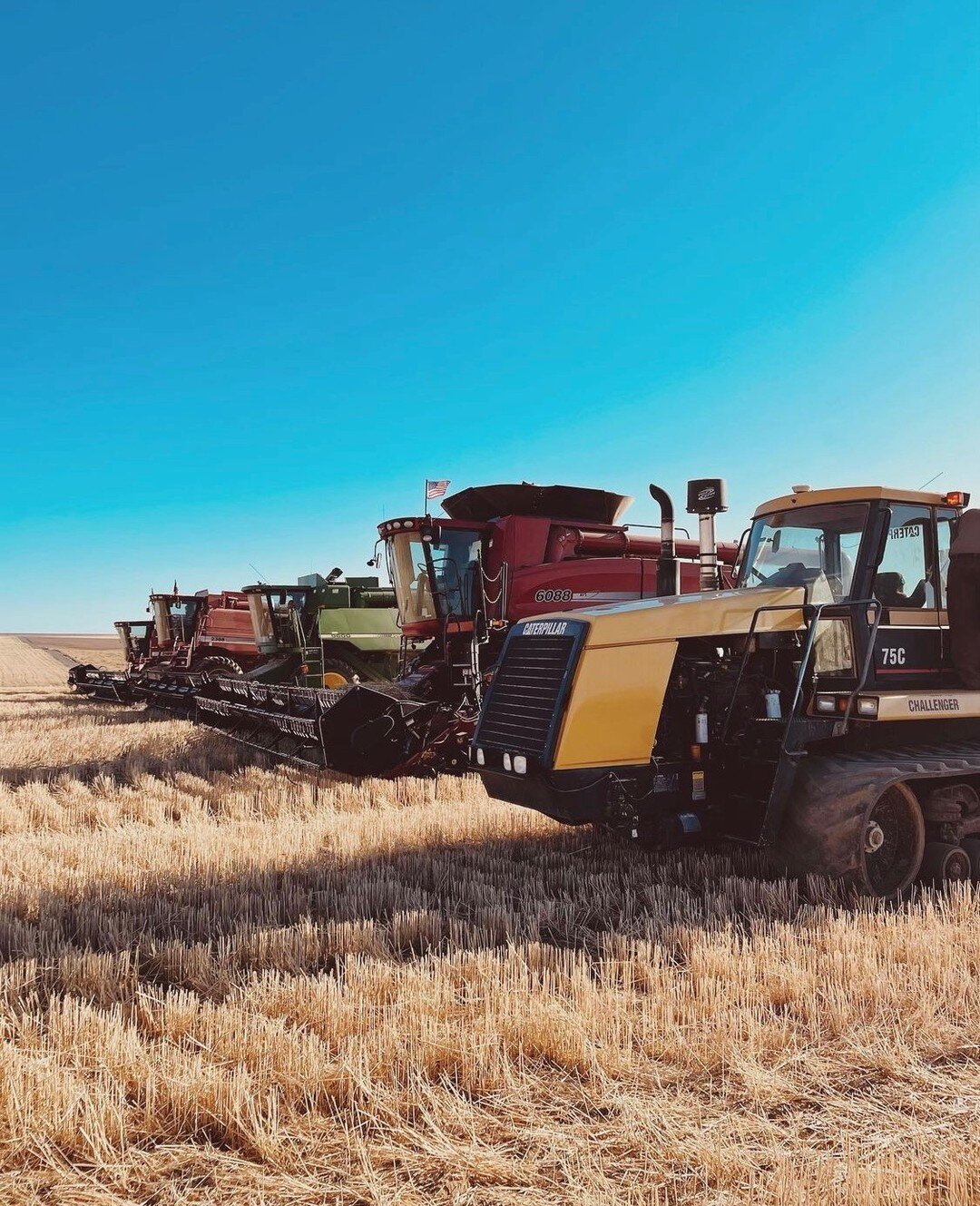 An impressive lineup! 

📸 Kadin Stennes

#wheat #wheatharvest #wawheat #wheatcrop #farm #farming #farmer #farmers #farmlife #agriculture #waag