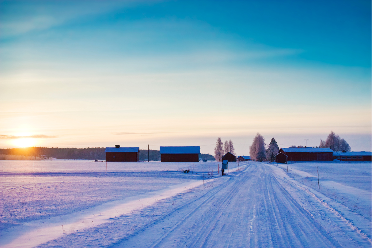 A Winter Homecoming