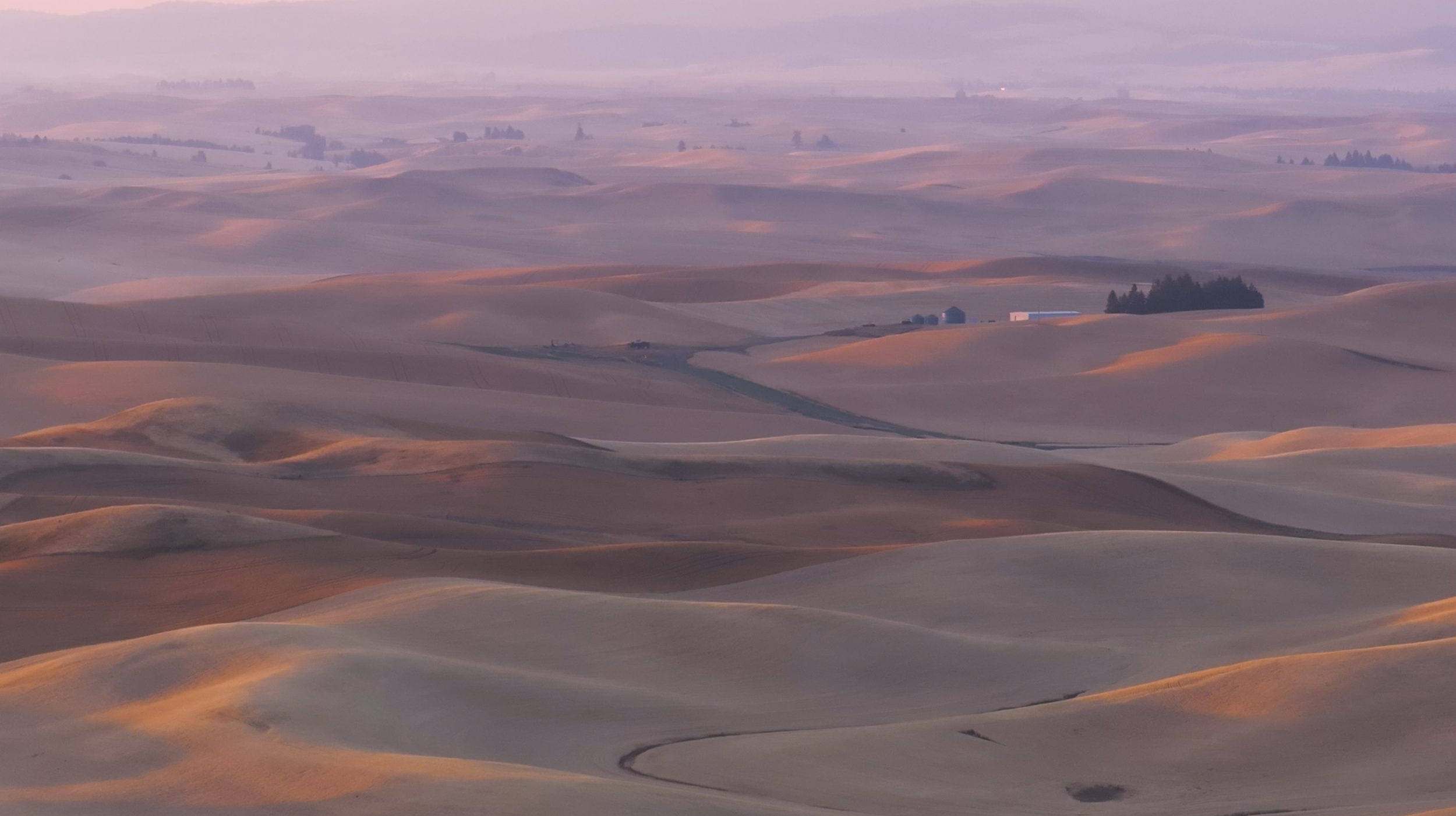 Two Seasons, One Staple: Understanding Spring and Winter Wheat