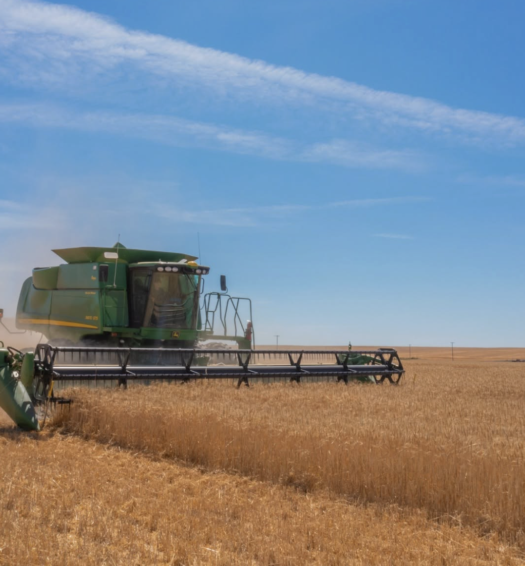 Harvest: The Moment an Entire Year Leads To