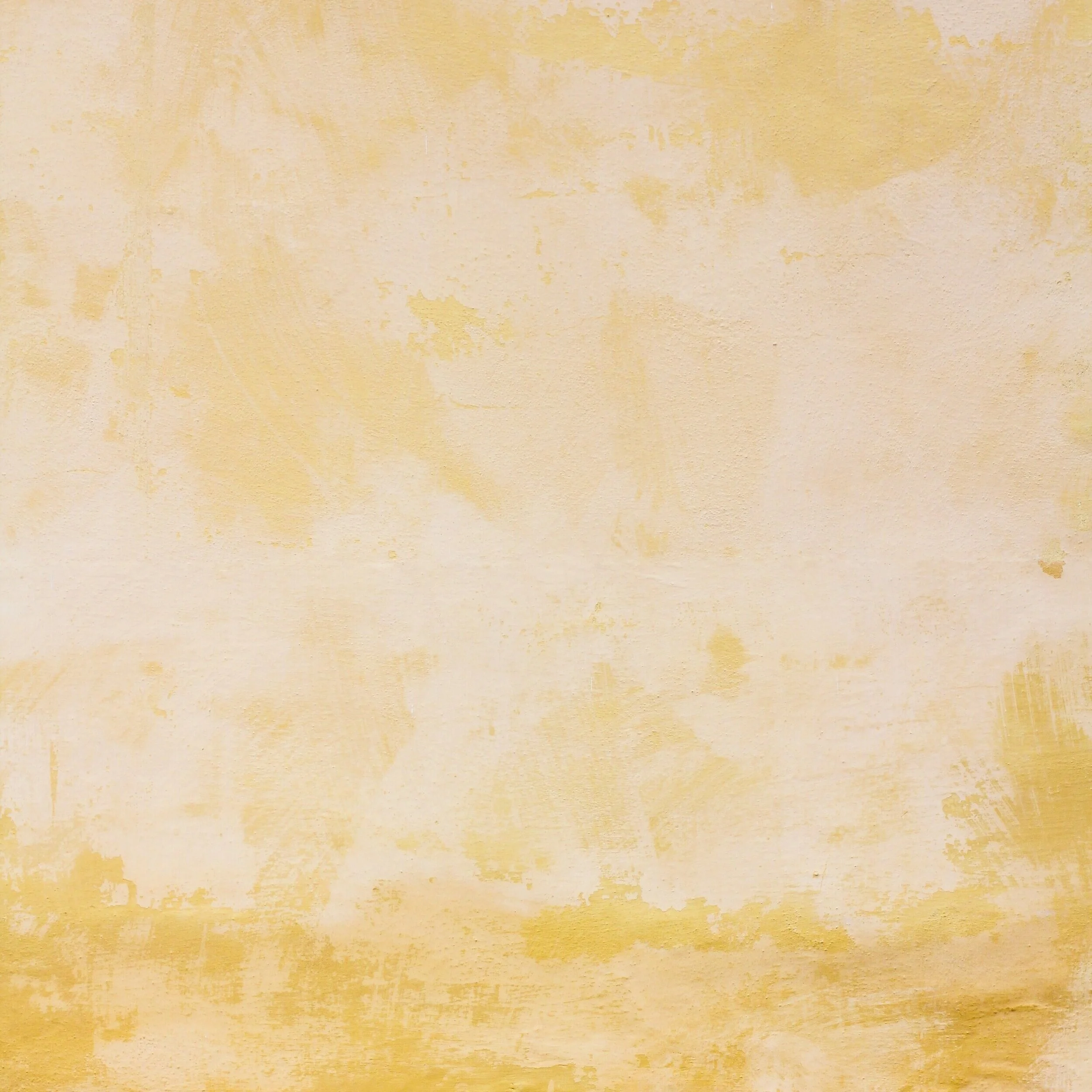 mona-eendra-vC8wj_Kphak-unsplash+%281%29.jpg