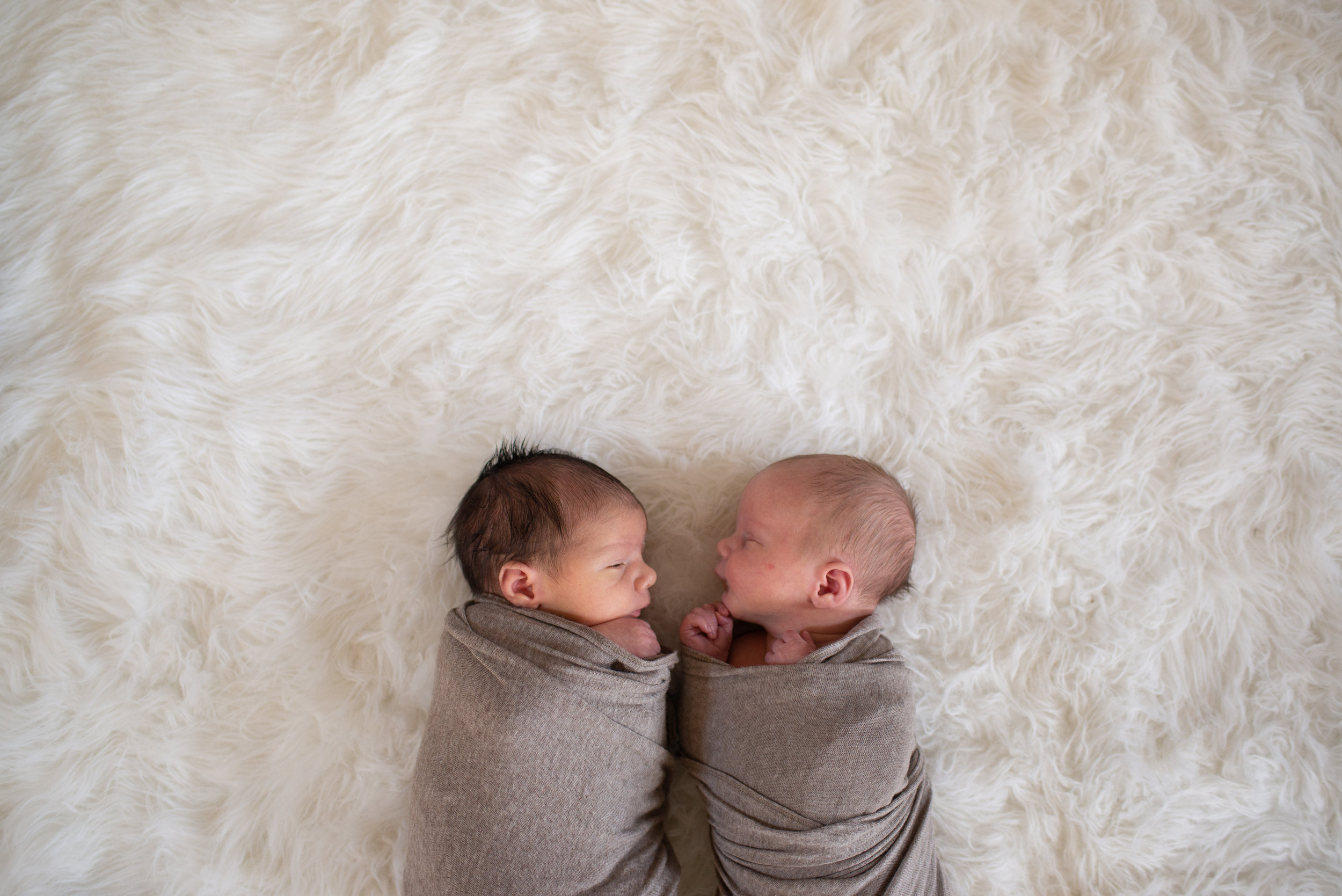 Twin Newborn Session