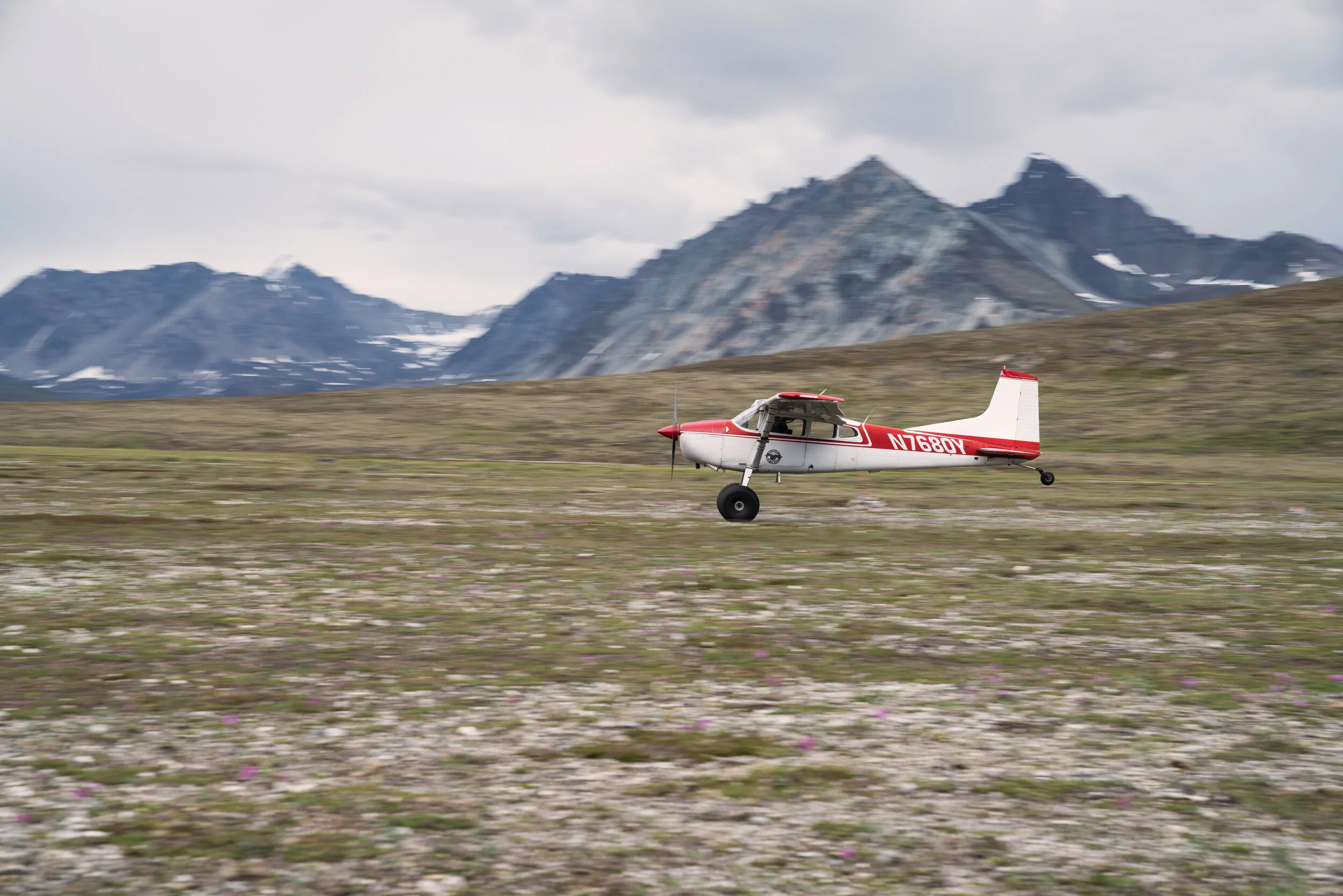 _DSC0893_web.jpg