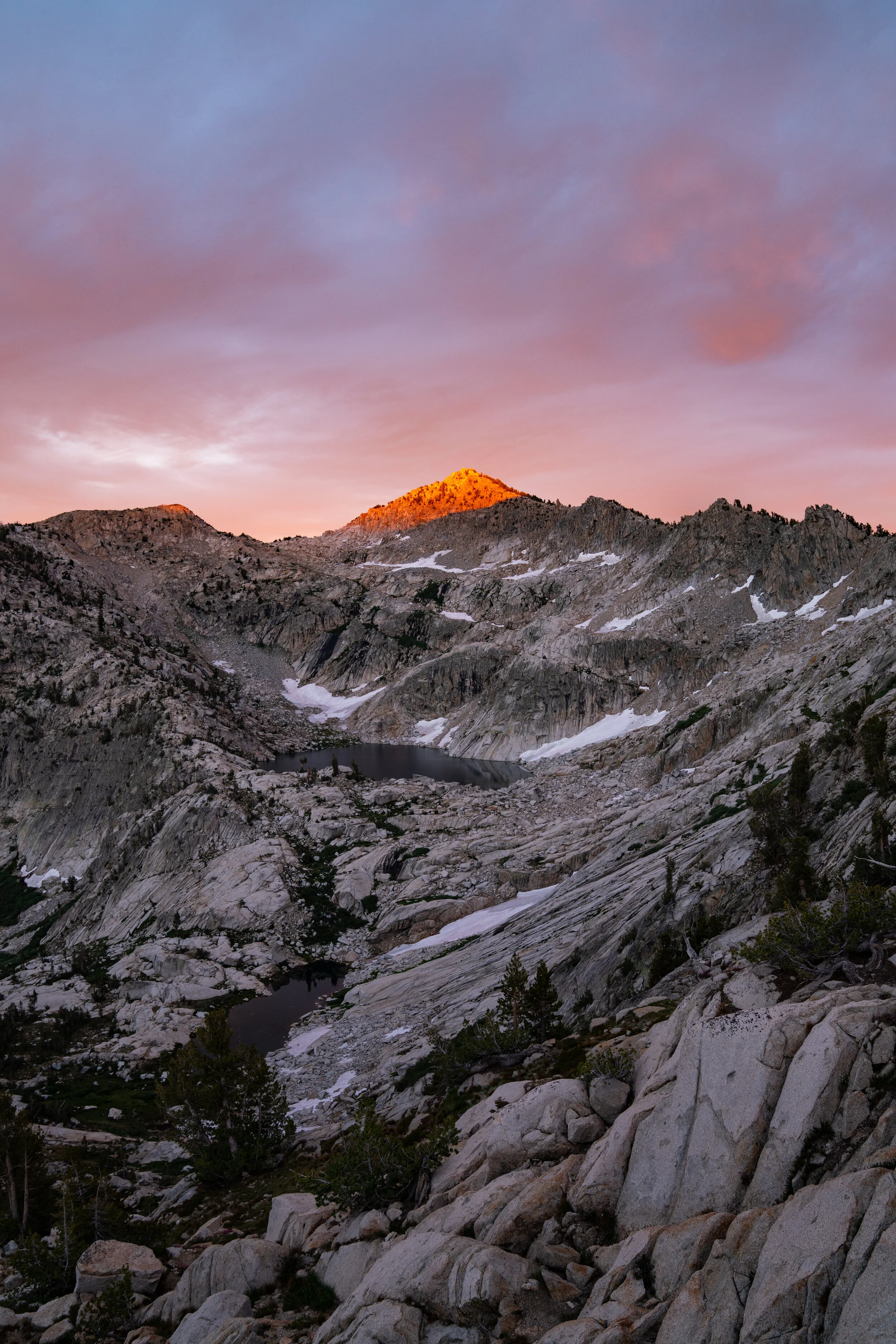 _DSC2597_web.jpg