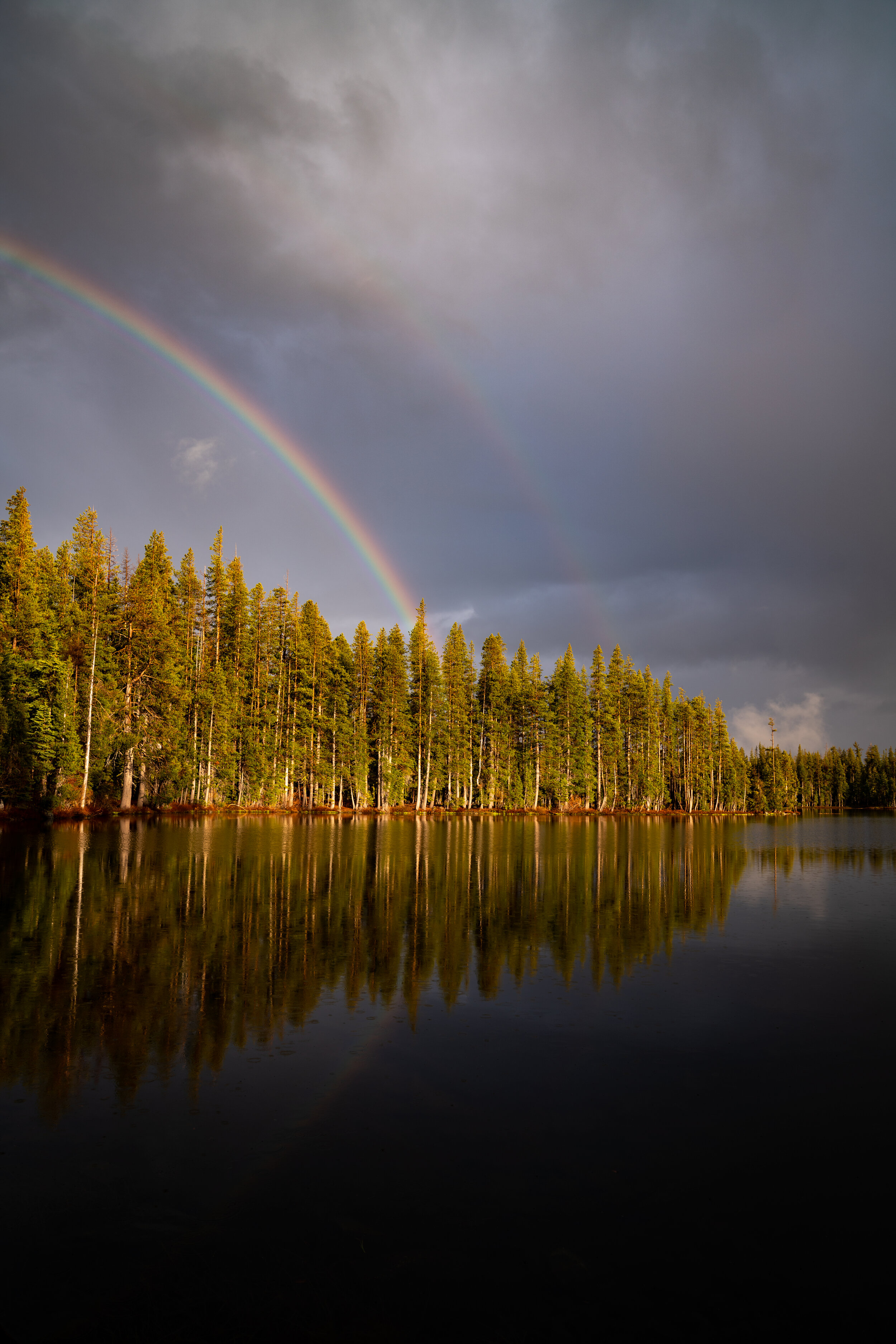 _DSC2537_web.jpg