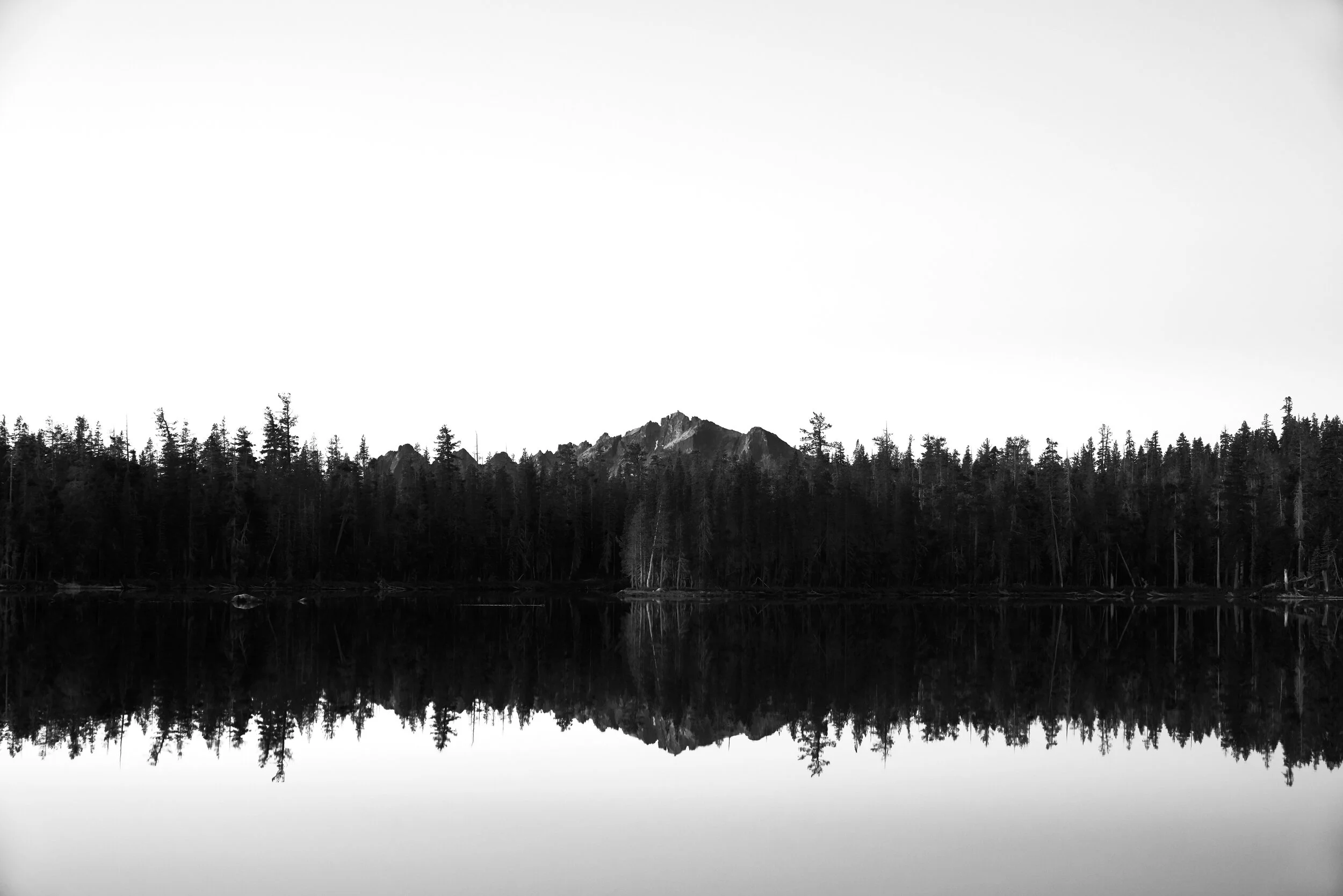 _DSC3606_web2.jpg