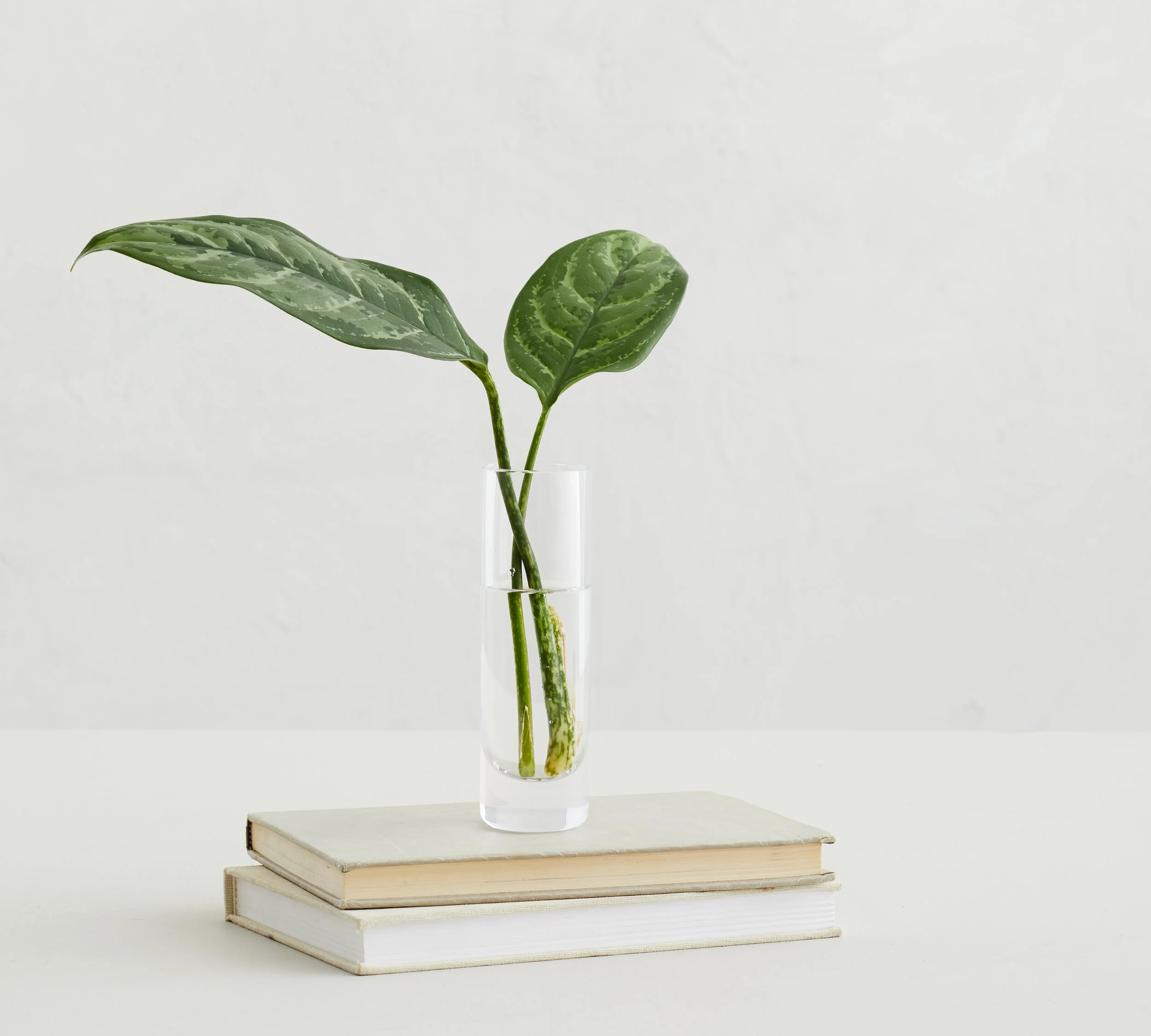 PBM-Aegean-Clear-Glass-Vase-Bud-PIP.jpg