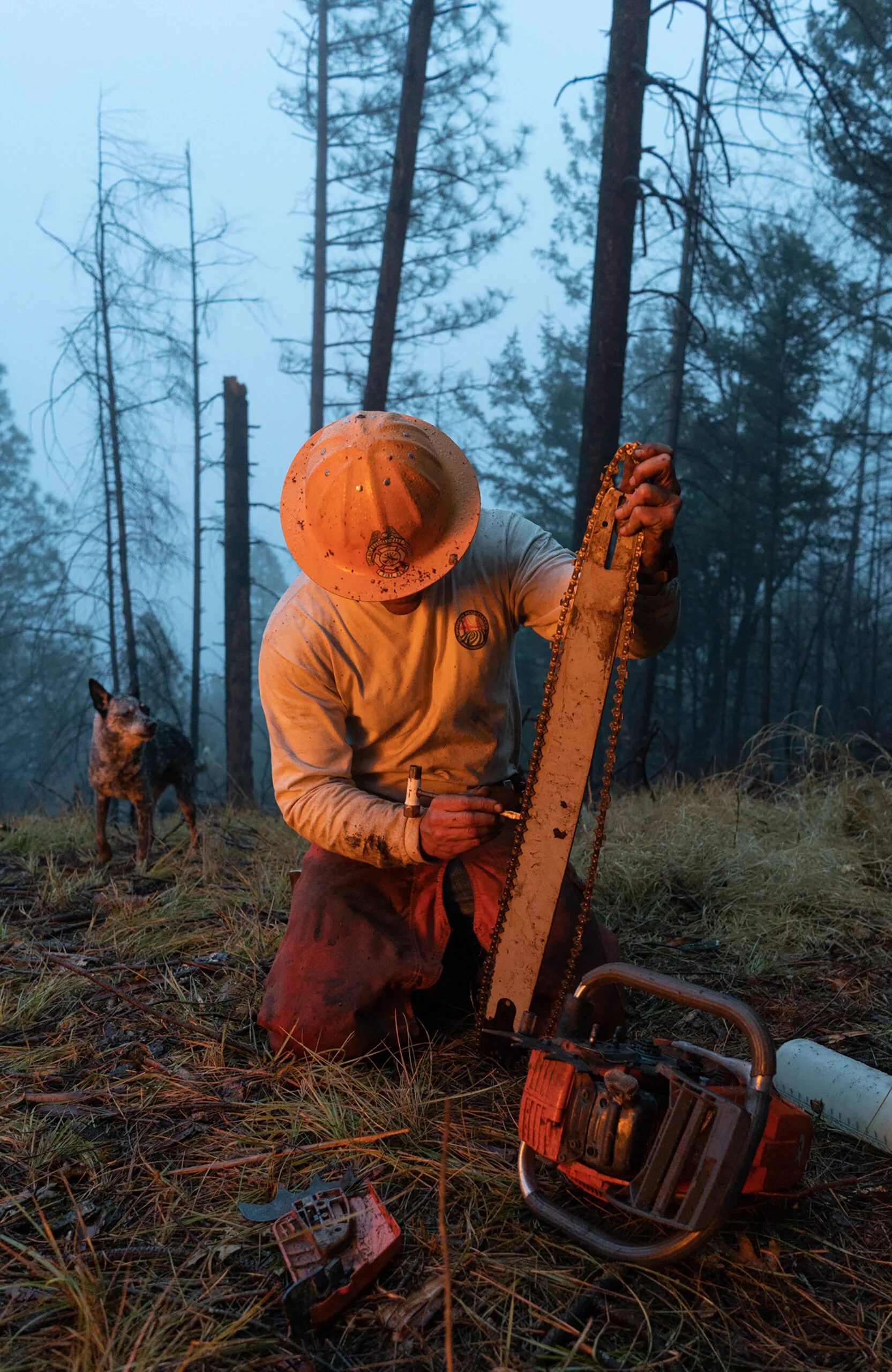 FireMitigation_1-Web.jpg