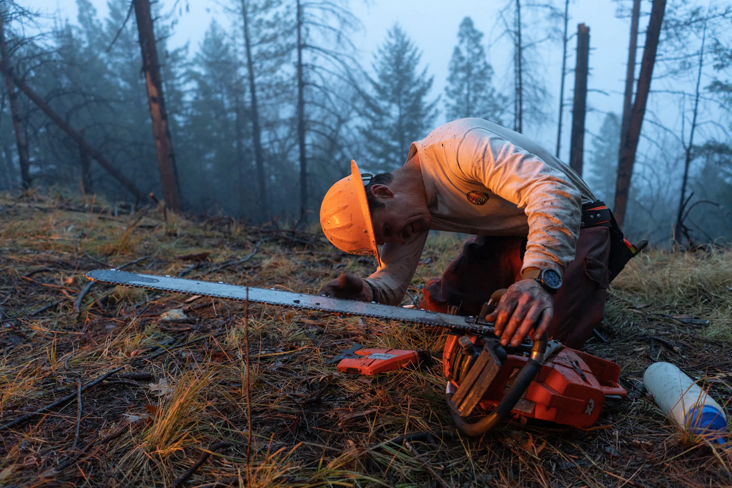 FireMitigation_3-Web.jpg