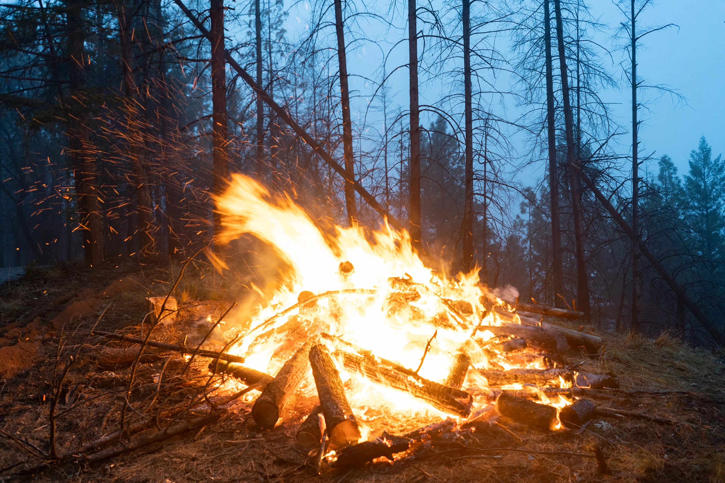 FireMitigation_5-Web.jpg