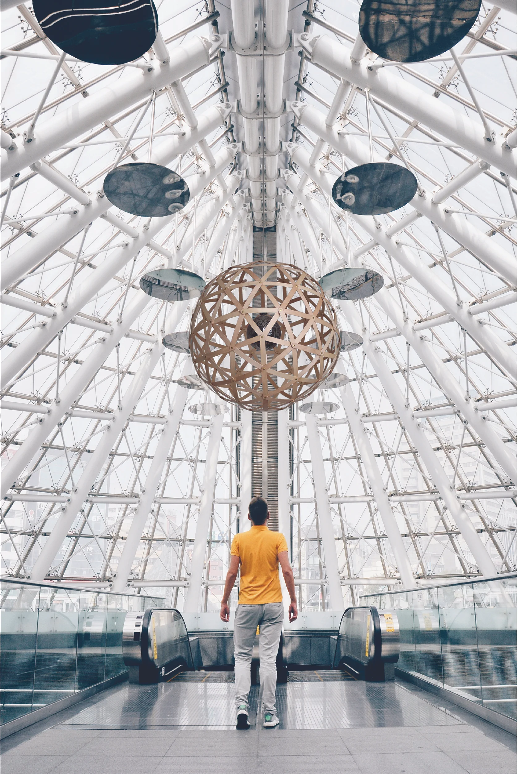 Looking. GEO900 in birch. Image: Alex Block/Actualthing