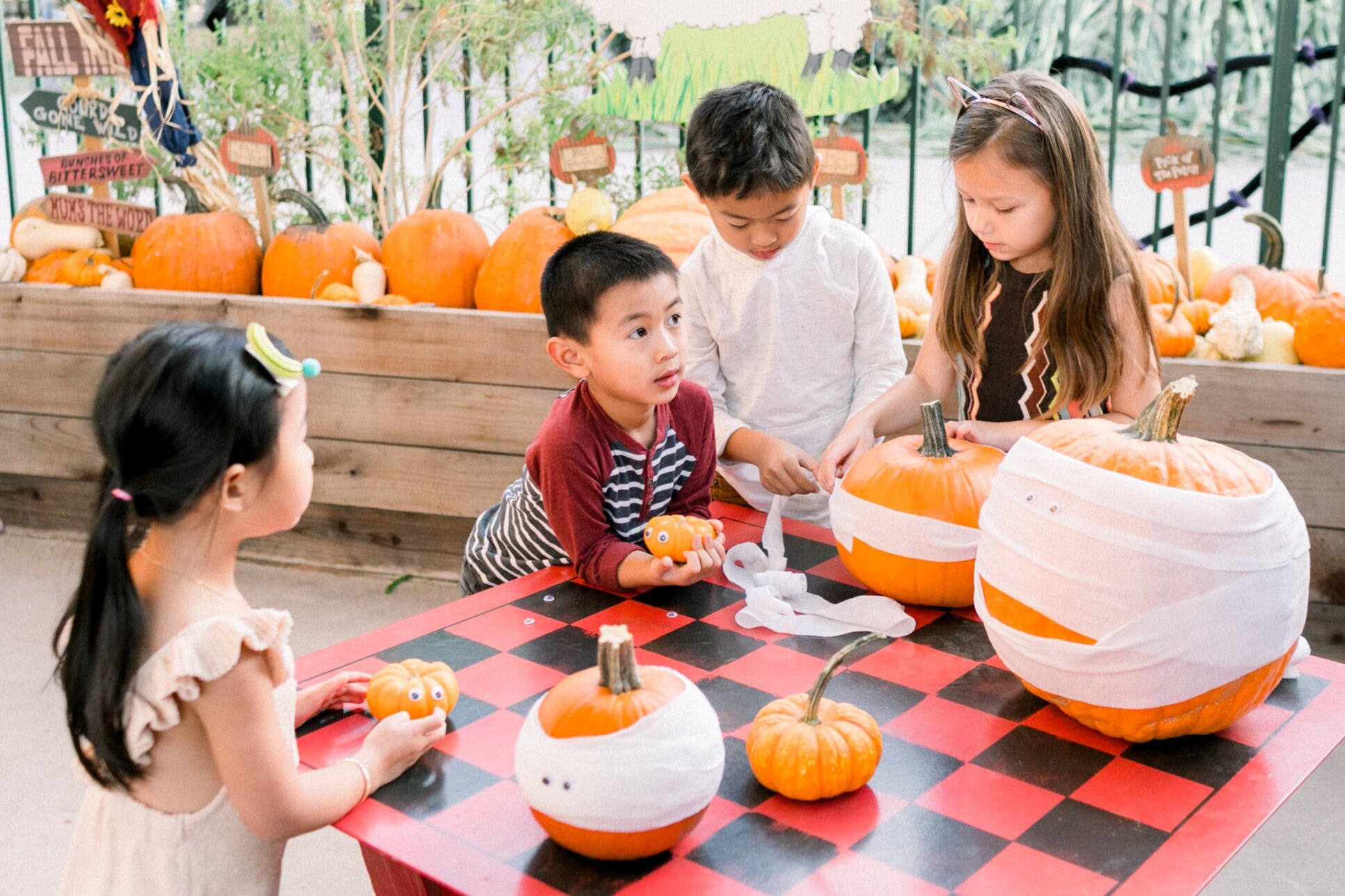  Pumpkin Mummy Crafts on Hello Rascal Kids 